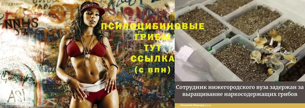 не бодяженный Зеленодольск