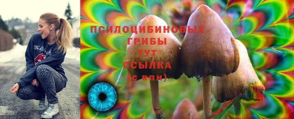a pvp Армянск