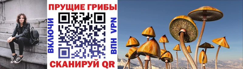 цена наркотик  Чудово  Галлюциногенные грибы мухоморы 